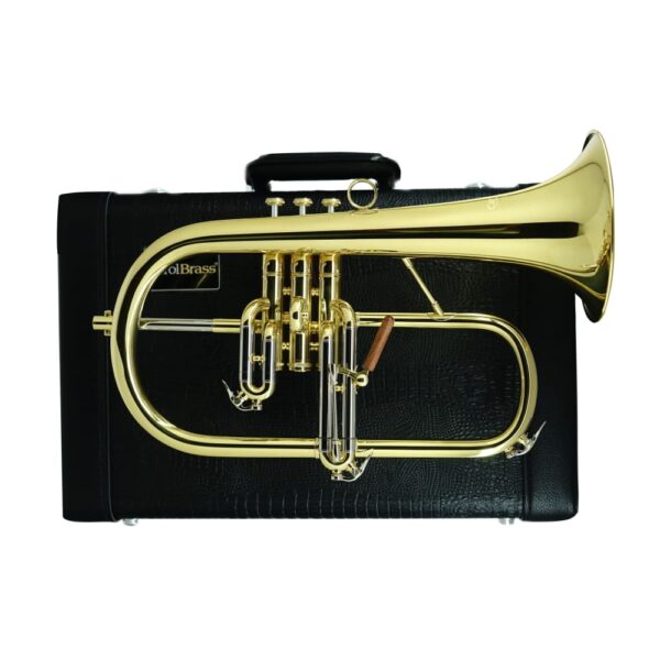 CFL-6200-YSS-Bb-L