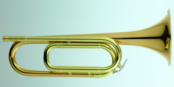 CBG-Regulation RSM-Bb