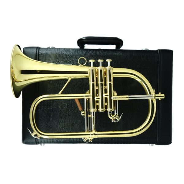 CFL-6200-YSS-Bb-L
