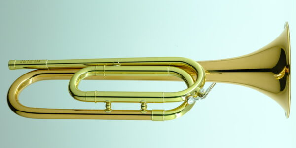 CBG-Regulation RSM-Bb