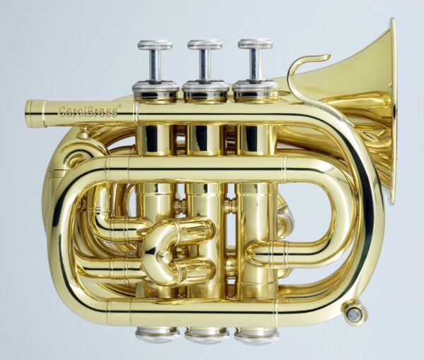 CPT-1000-YSS-Bb-L