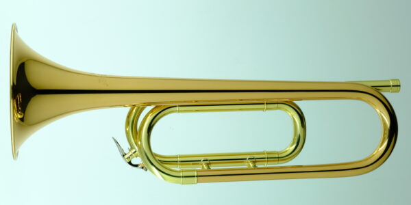 CBG-Regulation RSM-Bb