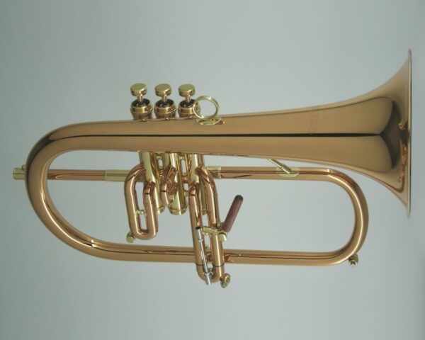 CarolBrass® - CFL-9990-RSS-Bb - Image 9