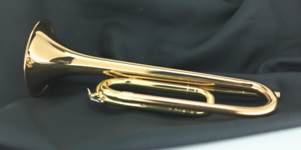CBG-Regulation RSM-Bb