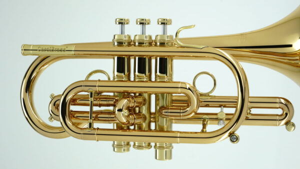 CCR-8880-GSS-Bb-L - Image 9