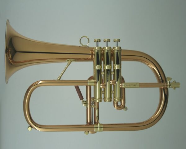 CarolBrass® - CFL-9990-RSS-Bb - Image 7