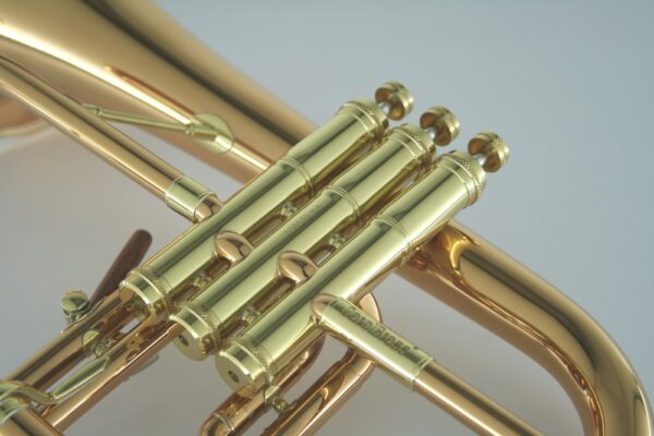 CarolBrass® - CFL-9990-RSS-Bb - Image 6