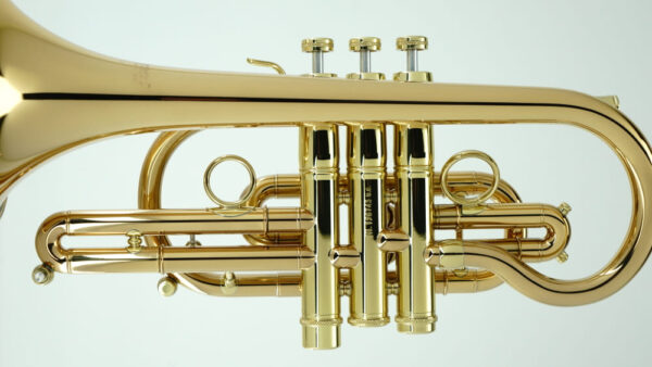 CCR-8880-GSS-Bb-L - Image 7
