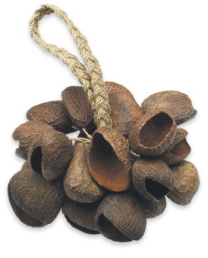 Toca T-SS Seed Shell Rattle