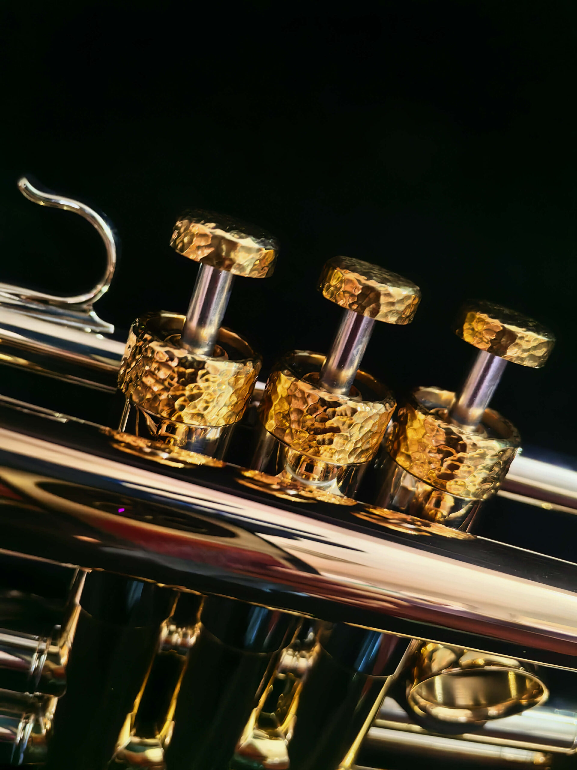 MJ Custom Art Trumpet 10