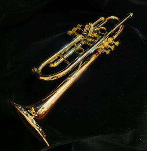 MJ Custom Art Trumpet 23