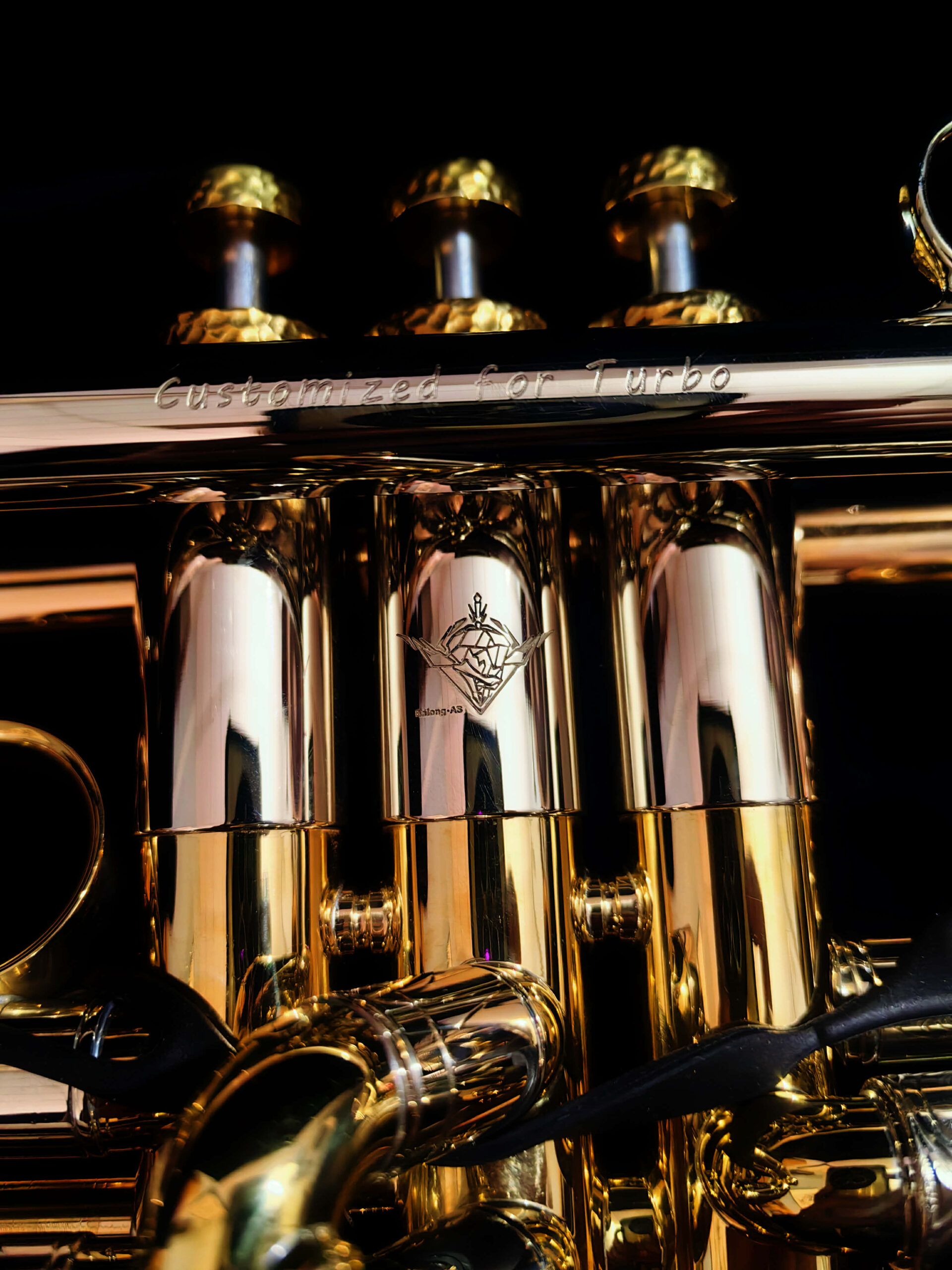 MJ Custom Art Trumpet 7